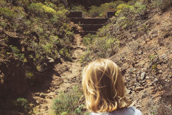 a person looking at a bridge