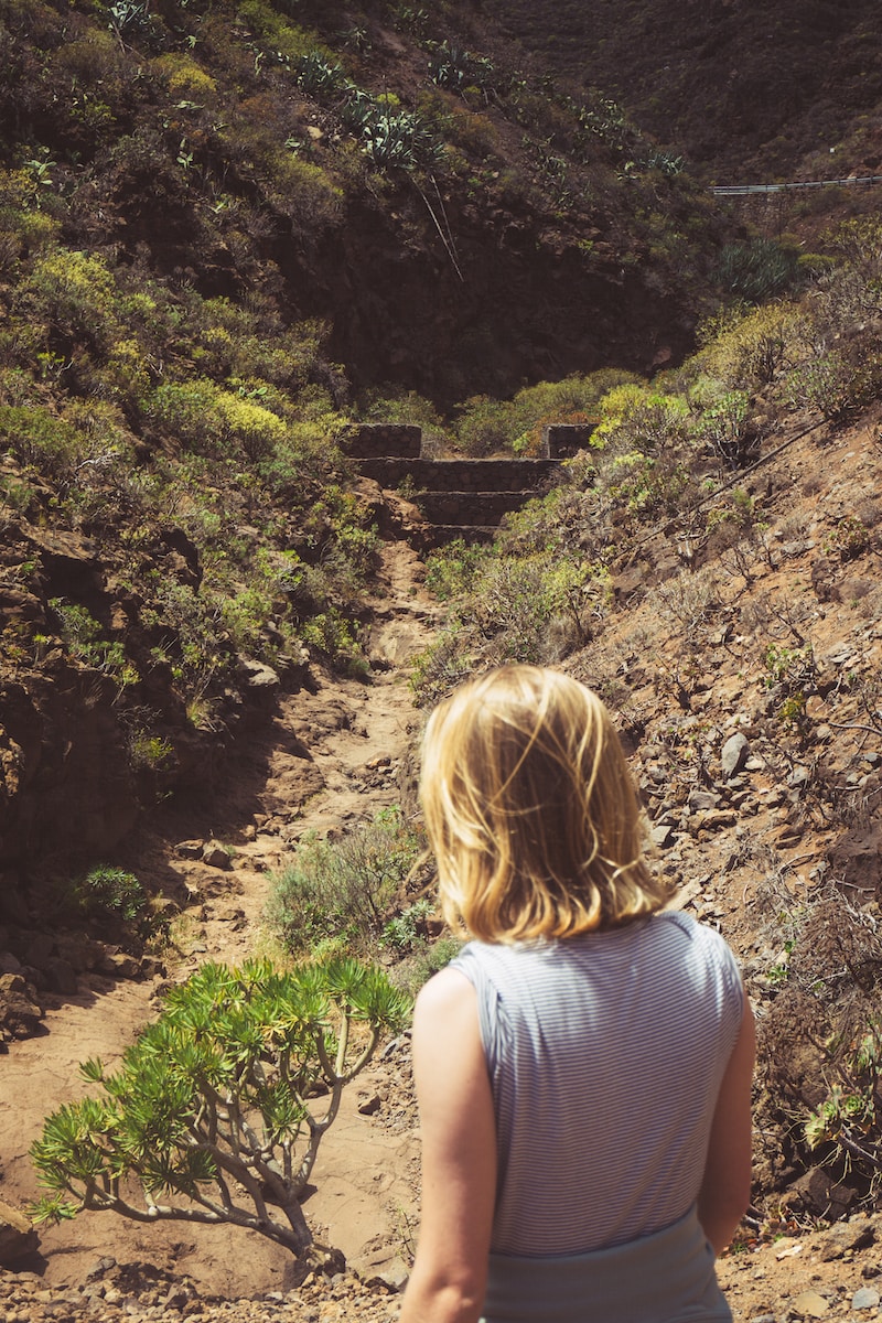 a person looking at a bridge