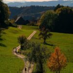 people walking on footpath