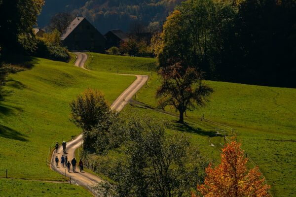 people walking on footpath