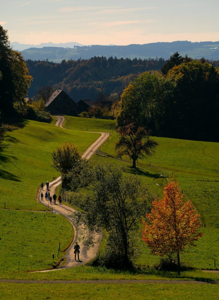 people walking on footpath